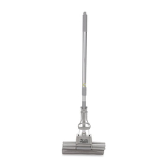 Cây lau nhà Trần Thức mút xám 